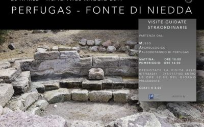Visita guidata fonte di Niedda Perfugas