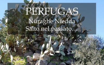 Nuraghe Niedda Salto nel Passato